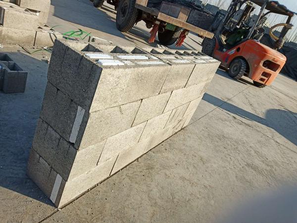 普通混凝土小型空心砖 (9)