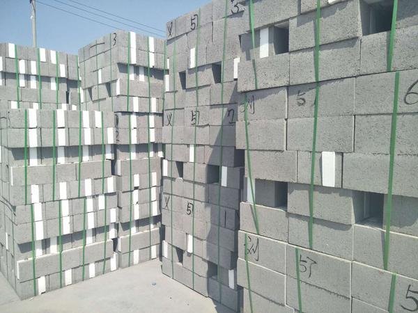 混凝土复合砌块2 (3)