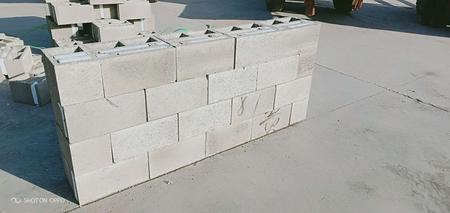 普通混凝土小型空心砖 (6)